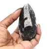Fossile d’orthocéras du Maroc - 15