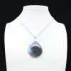 Pendentif goutte en labradorite - 0