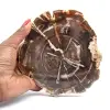 Bois fossilisé polis de Madagascar - 0
