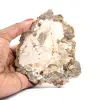 Bois fossilisé polis naturel - 0