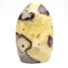 Septaria naturelle de Madagascar - 1