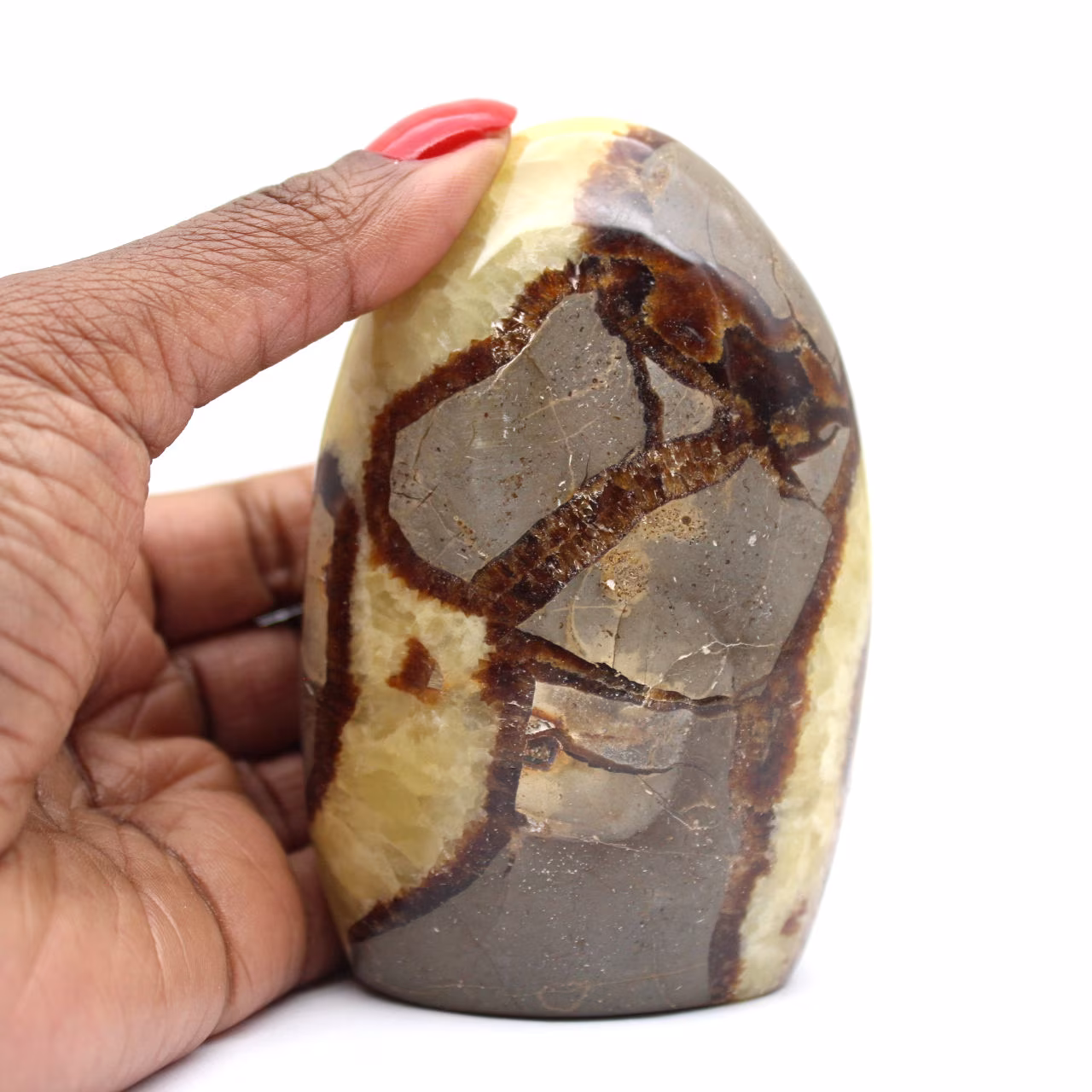 Septaria naturelle de Madagascar