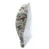Labradorite naturelle une face polie - 4