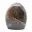 Microcline d'ornement — 1