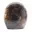 Microcline d'ornement — 4