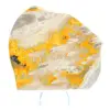 Pierre Naturelle Jaspe Bumblebee : Objet de Science et Beauté - 2