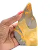 Spécimen de Jaspe Bumblebee Poli : Origine Indonésie - 0