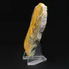 Jaspe Bumblebee : plaque de collection - 3