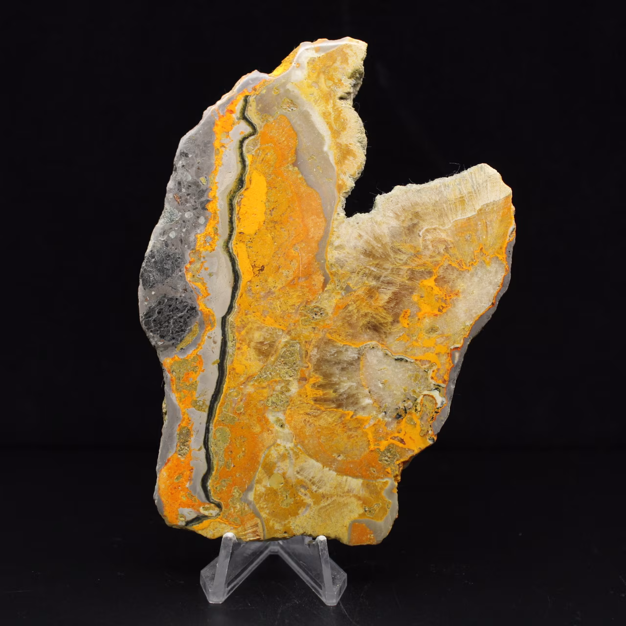 Jaspe Bumblebee : plaque volcanique