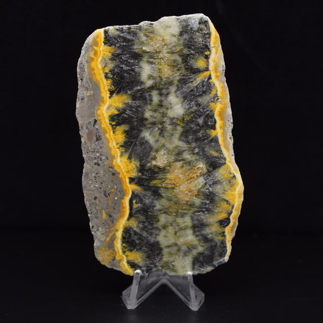 Plaque fine de Jaspe Bumblebee poli