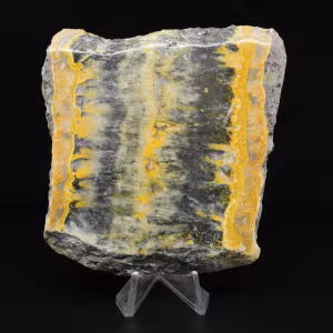 Jaspe Bumblebee d'Indonésie : large plaque esthétique