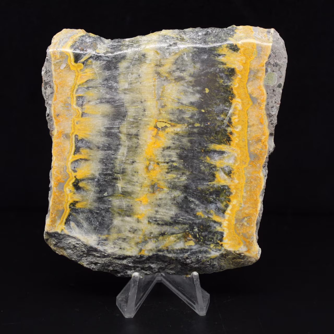 Jaspe Bumblebee d'Indonésie : large plaque esthétique