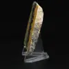 Petite plaque polie de Jaspe Bumblebee - 3