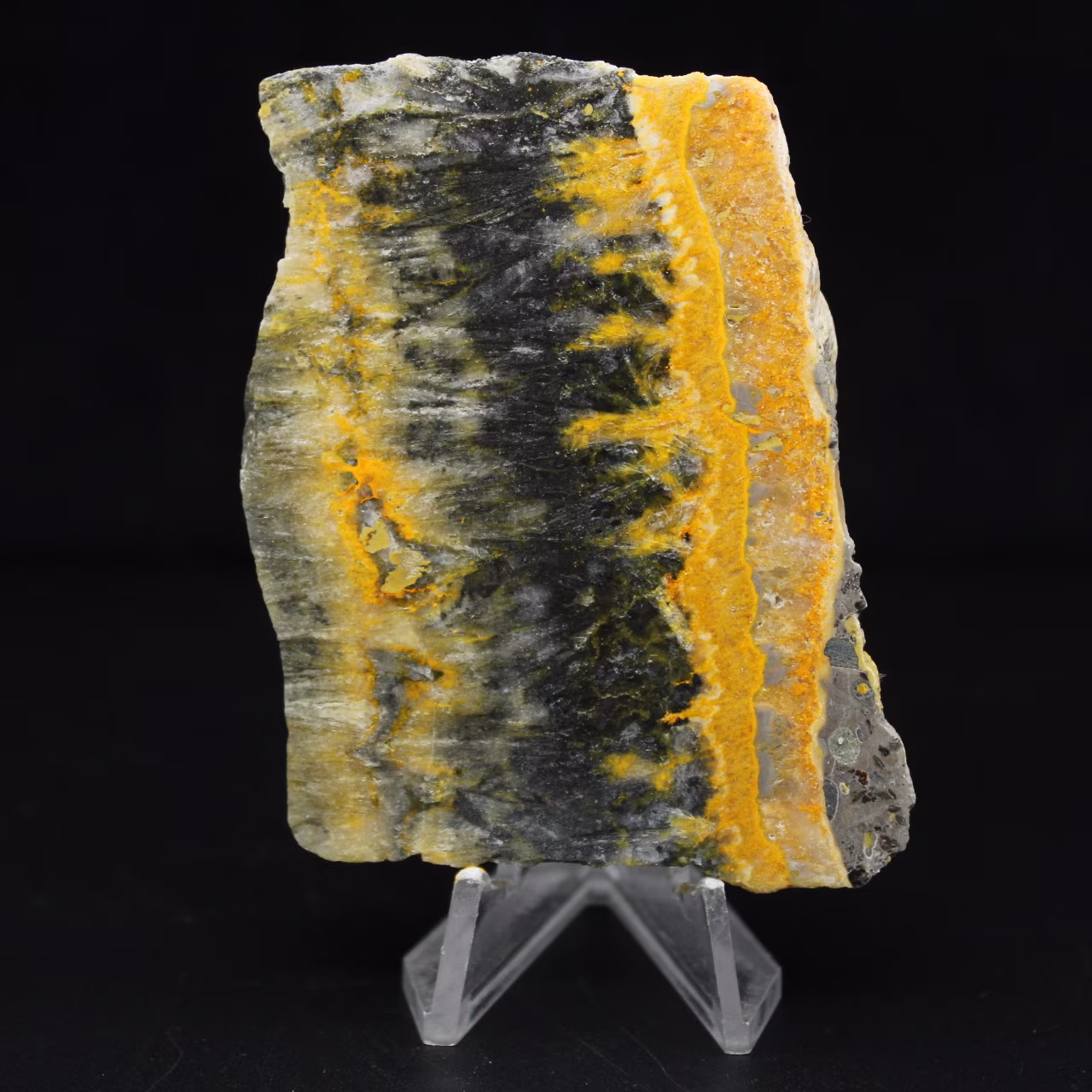Petite plaque polie de Jaspe Bumblebee