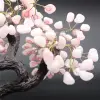 Arbre en Améthyste du Brésil pour Collectionneurs et Décorateurs - 13