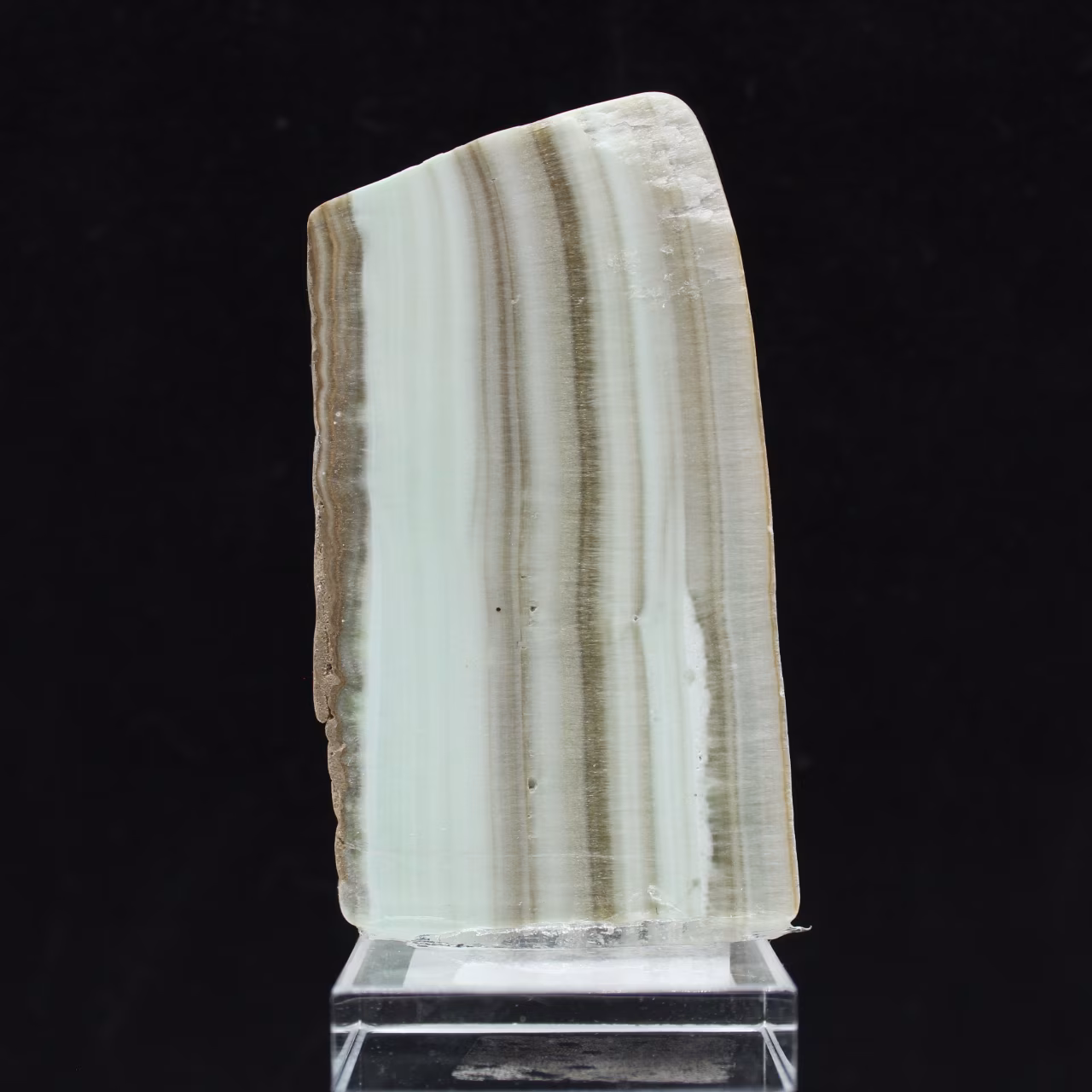 Tranche polie d’Aragonite verte minéral brut de qualité