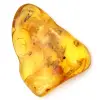Grand Galet Ambre jaune de Lituanie – Fossile pour Collection - 0
