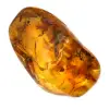 Galet Ambre jaune pour décoration et spécimen scientifique - 0