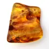 Résine fossile Ambre jaune Baltique – Galet pour amateur - 2