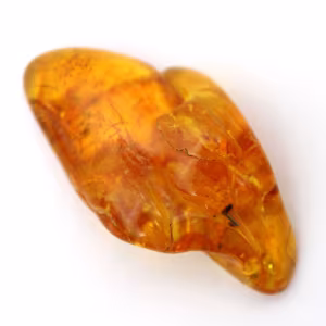 Galet Ambre jaune, pierre naturelle de collection Lituanie