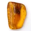 Ambre jaune Baltique – Objet Galet pour la minéralogie - 0