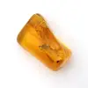 Mini Galet Ambre Jaune Baltique – Fossile pour Décoration - 0