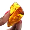 Ambre de la Baltique Poli : Spécimen Galet pour Collectionneur - 1