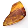 Ambre de la Baltique Poli : Spécimen Galet pour Collectionneur - 2