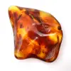 Ambre de Lituanie Poli : Galet pour Collection de Fossiles - 2