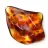 Ambre de Lituanie Poli : Galet pour Collection de Fossiles
