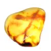 Petit Galet d'Ambre de Lituanie Poli - Authenticité et Science - 0