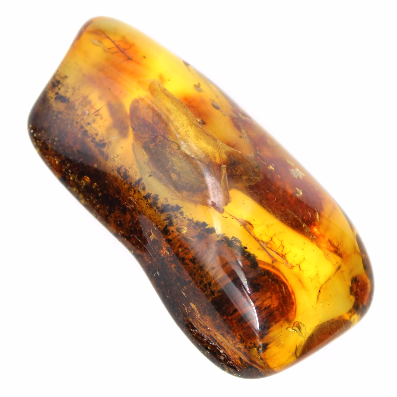 Petit Galet d'Ambre Poli de Lituanie - Collection Minéralogique
