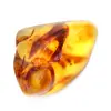 Galet d'Ambre Poli de Lituanie - Pièce de Collection Authentique - 0