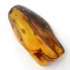 Ambre de Lituanie : Galet Poli Esthétique pour Collection - 2