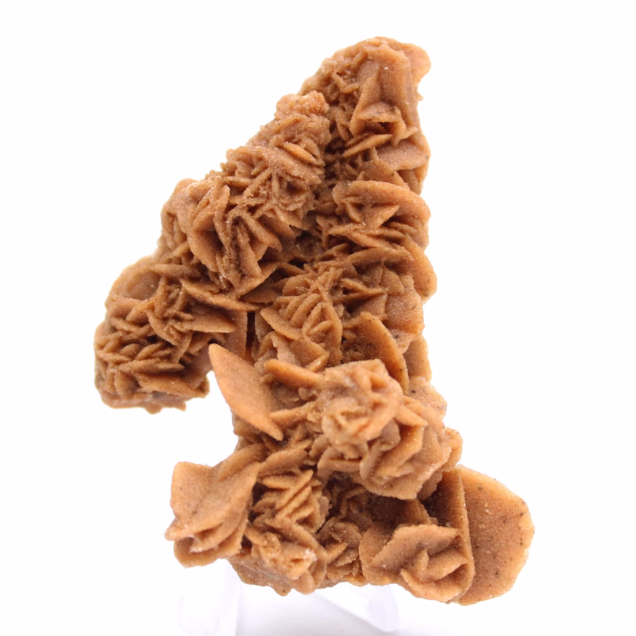 Spécimen unique rose des sables