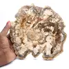 Bois fossilisé (tranche), ornement poli, pièce de collection, Madagascar - 0