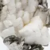 Petit spécimen de mica sur quartz blanc - 7