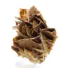 Petite Barytine brune marocaine - 2