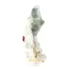Spécimen géologique Fluorite : Pierre du Maroc avec cristaux - 5