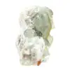 Pierre Fluorite verte brute : Échantillon cristallisé sur roche - 3