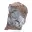 Pyrolusite, Spécimen Authentique sur Matrice — 1