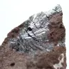 Pyrolusite, Roche de Collection Belles Cristallisations - 2
