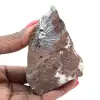 Pyrolusite, Roche de Collection Belles Cristallisations - 1