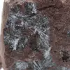 Pyrolusite Marocaine, Cristallisation Authentique - 2
