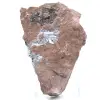 Authentique Pyrolusite en Cristaux sur Matrice - 2