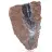 Authentique Pyrolusite en Cristaux sur Matrice