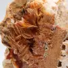 Spécimen de barytine orange marocaine compacte - 3