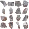 Pyrolusite, Spécimen Authentique sur Matrice - 0