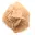 Petite Rose des sables du Maroc : fragment géologique naturel — 5