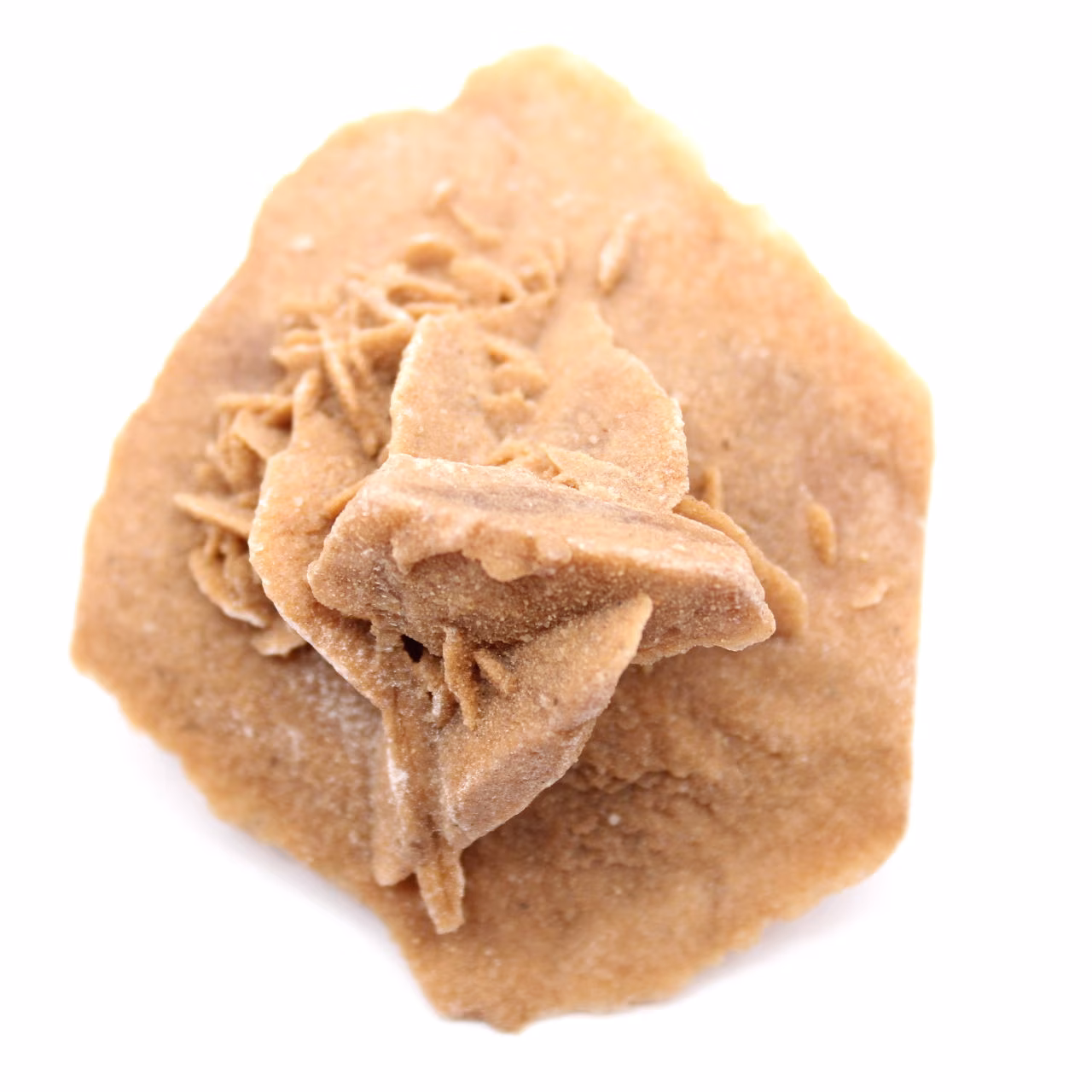 Rosette de gypse du Maroc : cristal naturel du Sahara